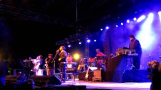 Fat Freddy's Drop - Willow Tree @ SNWMF 2010