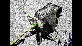 Mi rosa negra lyrics CMR