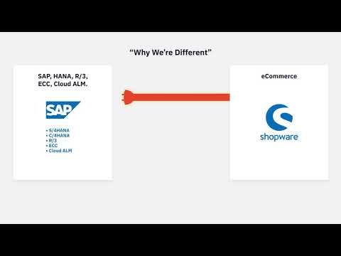 Why us? I Shopware SAP integration (R3/ECC/HANA) with our connector - Magement