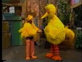 Sesame Street Gordon Pretends To Be Grandpa Bird