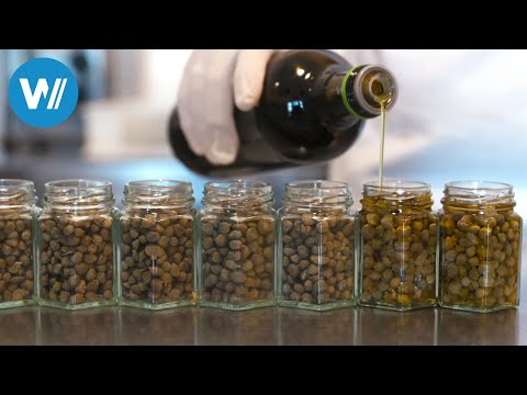 Italy's Capers - The Taste of the South (360° - GEO Reportage)