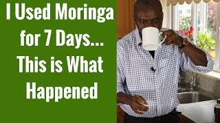 Moringa Review: I Used Moringa for 7 Days & This Is What Happened