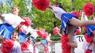 【チアリーディング】お祭りの日は、みんなのアイドル　前編