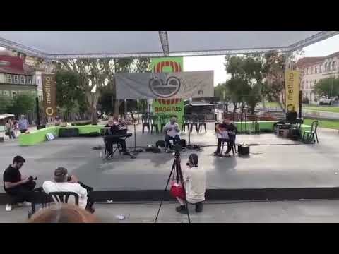 Pedro Braz - Festival do Cavaquinho 2025