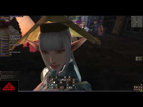 Lineage 2 Classic NA - Giran - SKYNET - First Days |  SWS