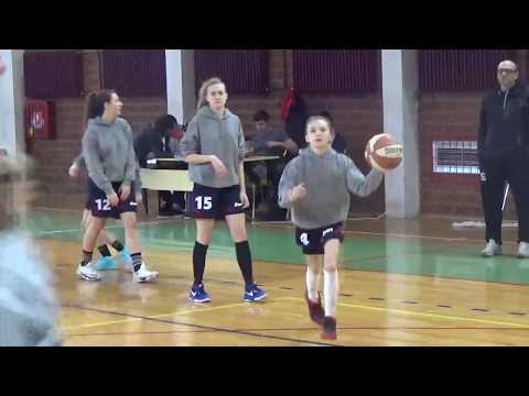 ŽKK Jabuka Zaprešić  : ŽKK Croatia 2006