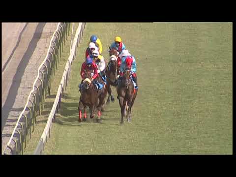 357 - The Duke Of York Cup 2019