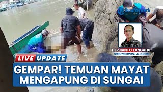 Warga Kelurahan Tenda Gorontalo Heboh! Temukan Mayat Pria Mengapung di Muara Sungai