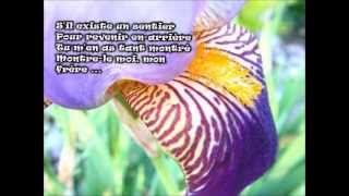 ~ MON FRÈRE ~ (avec les paroles) ♥ France D&#39;amour