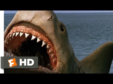 Jaws: The Revenge (8/8) Movie CLIP - Killing the Beast (1987) HD