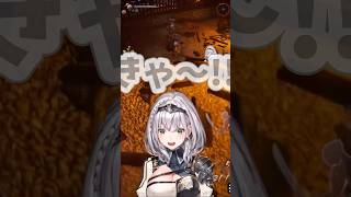 【白銀ノエル／ホロライブ】アイドル引退レベルの叫びを反省した直後、再び絶叫する完璧なフラグ回収する団長ww #白銀ノエル #ホロライブ #vtuber #切り抜き
