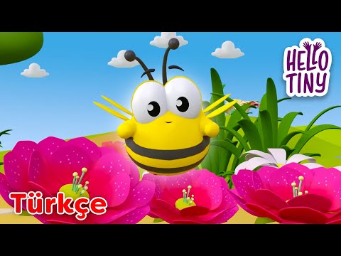 Arı Vız Vız Vız ve Mutlu Yıllar Bebek | Bebekler için şarkılar | Hello Tiny Türkçe