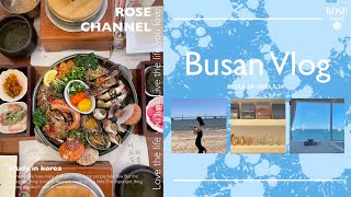 【釜山旅行】BUSAN Vlog2🏝〜海雲台・カンジャンケジャン・サムギョプサル〜