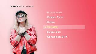 Larisa Full album hits