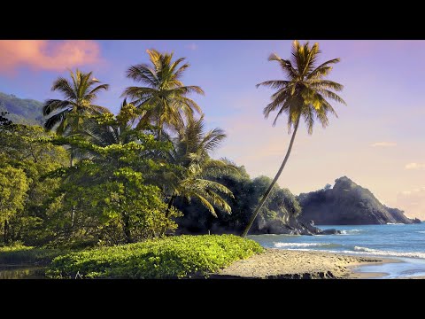 Duncan Lamont: Summer Sambas prt. 1