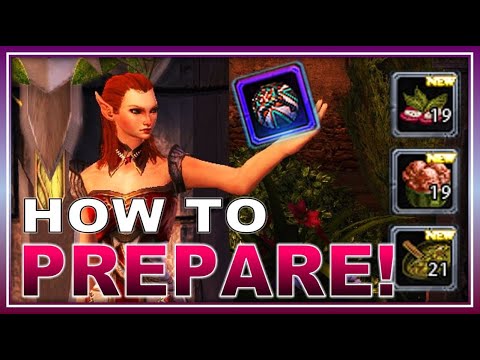 Prepare for the Summer Festival: BEST Event for Buff Food! (piñatas) w/ Dev Blog - Neverwinter 2022