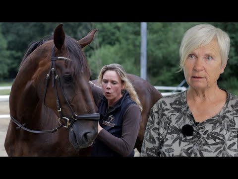 M Dressurpferd lässt sich nur schwer reiten – Ariane Telgen soll das ändern