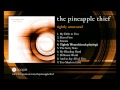 The Pineapple Thief - Tightly Wound (from Tightly ...
