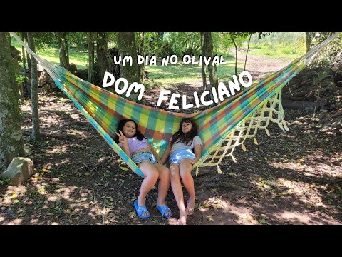 UM DIA NO OLIVAL DOM FELICIANO