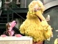 Sesame Street The Flamingo Lullaby