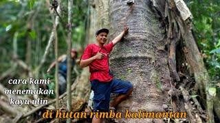 Download lagu BEGINI CARA KAMI MENEMUKAN KAYU ULIN DI HUTAN RIMBA KALIMANTAN mp3