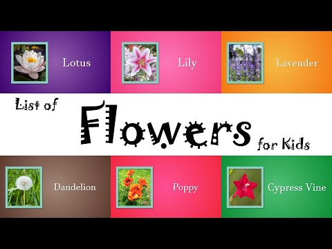 Flowers name | Flowers list for kids | flowers | flowers pictures