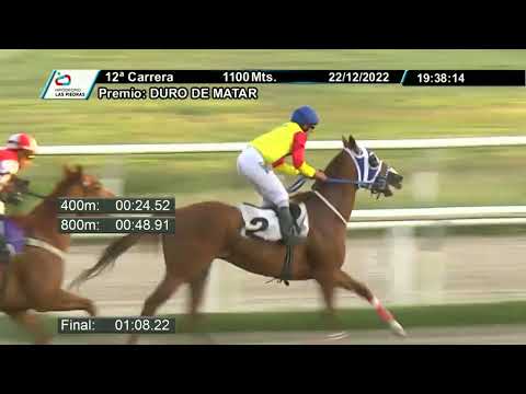 221222 c12 - MI SANTINA - HIPODROMO LAS PIEDRAS