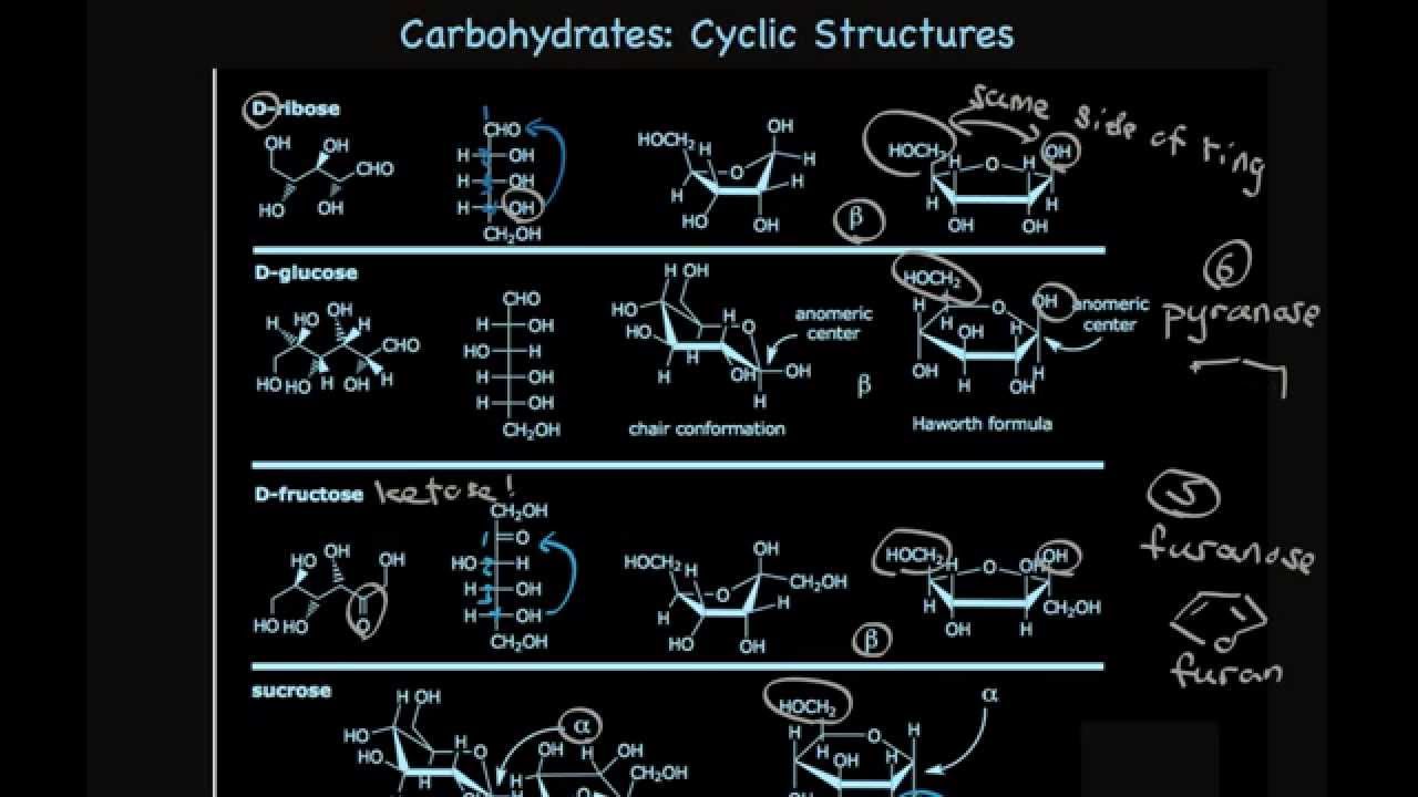Cyclic Carbohydrate Structures: Furanose and Pyranose Sugars - YouTube