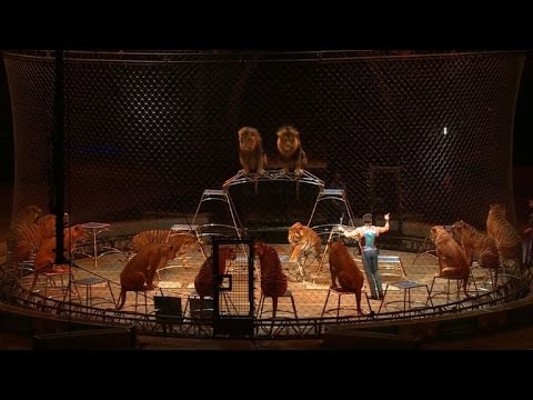 Ringling Bros circus performs final show