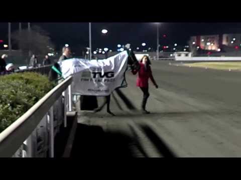 Foiled Again wins TVG FFA Final