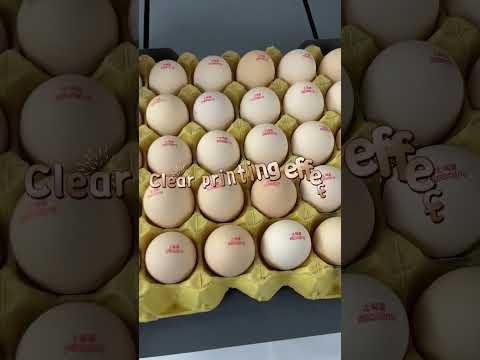 Εκτυπωτής TIJ EGG-thumb-1