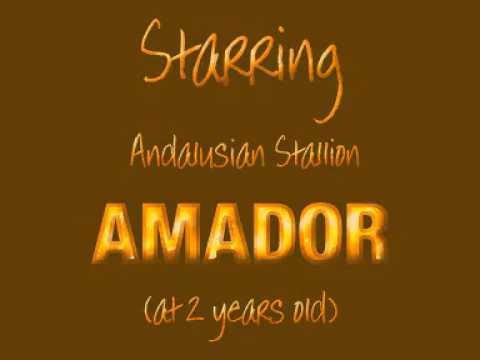 I'm Too Sexy(Love at First Bite)Spanish Andalusian Stallion