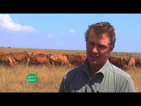, title : 'Conservancy that offers drought solution - Laikipia west'