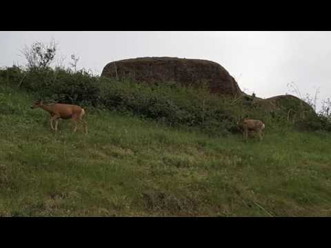 S6edgeplus 5P deny allow