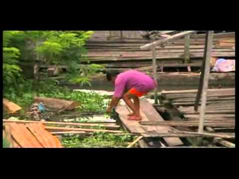 OS RIOS E A VIDA AMAZONAS Parte 2