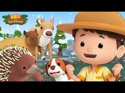 Witness21 Editor  2023 12 30