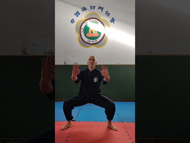 Vídeo relacionado con Kung Fu Tai Chi Zapatos de Artes Marciales Suela de Goma Unisex Lona Antideslizante Moda Qigong Zapatillas de Deporte Negro EU 43 (265cm)