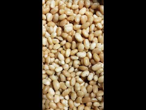 Haricots blanc aux côtes de porc fumées: partie 2: congolaise à la cuisine