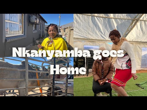 Gogo Nkanyamba’s homecoming part 1