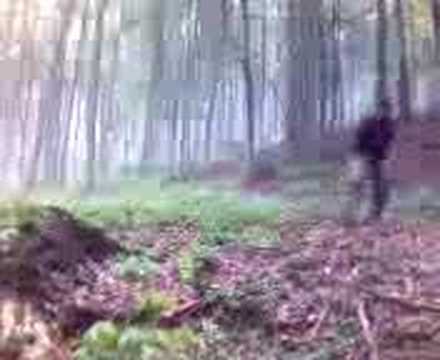 Kamikadze chatka 2 Wejscie Smigola