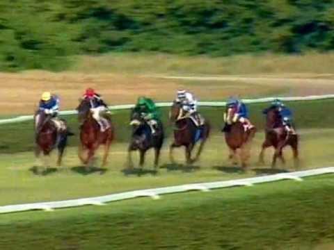 1 st Alfkona, Kozma Ferenc Emlékverseny