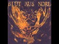 Blut Aus Nord - The Fall: Chapter VI 