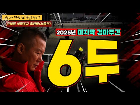 강백호-부산- 마지막 경마주간!! 유종의 미 거둘 새벽조교 쏘스마!! 2주간 훈련변화 보인 마필은?