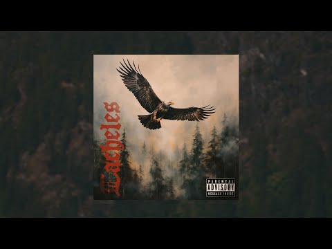 Skogan - Tacheles 24 ( OFFICIAL VIDEO )