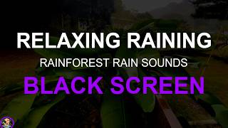 Rainforest Sounds For Sleeping, Rain No Ads, Rainforest Rain Sounds, Sleep Aid, Fall Asleep Fast