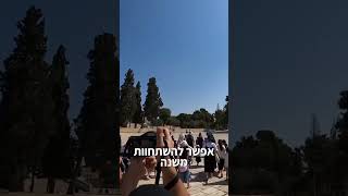 פתאום מותר להתפלל בהר הבית! #מהפכה #תשעה_באב (ישיבת הר הבית) - התמונה מוצגת ישירות מתוך אתר האינטרנט יוטיוב. זכויות היוצרים בתמונה שייכות ליוצרה. קישור קרדיט למקור התוכן נמצא בתוך דף הסרטון