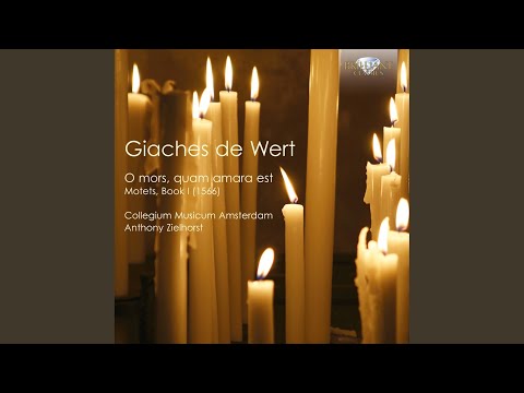 Video thumbnail for Paraclitus autem Spiritus