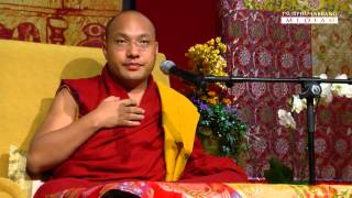 Buddhismus und Umwelt -- Ein Leben in Harmonie mit unserem Planeten