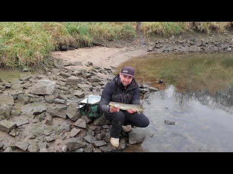 Z WĘDKĄ NAD WODĘ W POLSKĘ I ŚWIAT ODC. 290 - TV TRWAM - ŁOWIENIE Z BRZEGU, ODRA