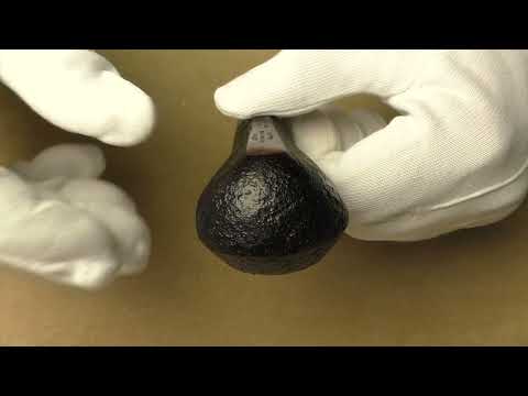 Dunhill Shell Briar 4117 - pipe E649